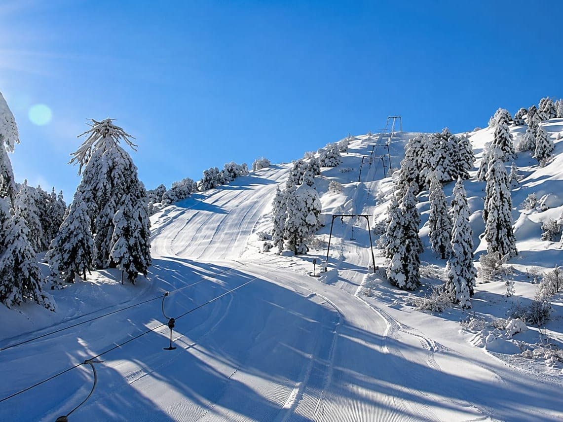 Snow Activities